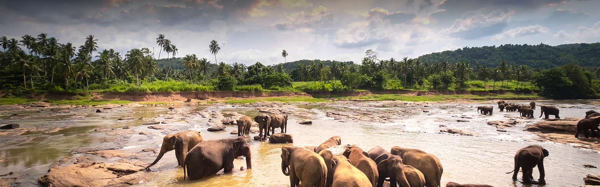 Sri Lanka Wildlife Tour