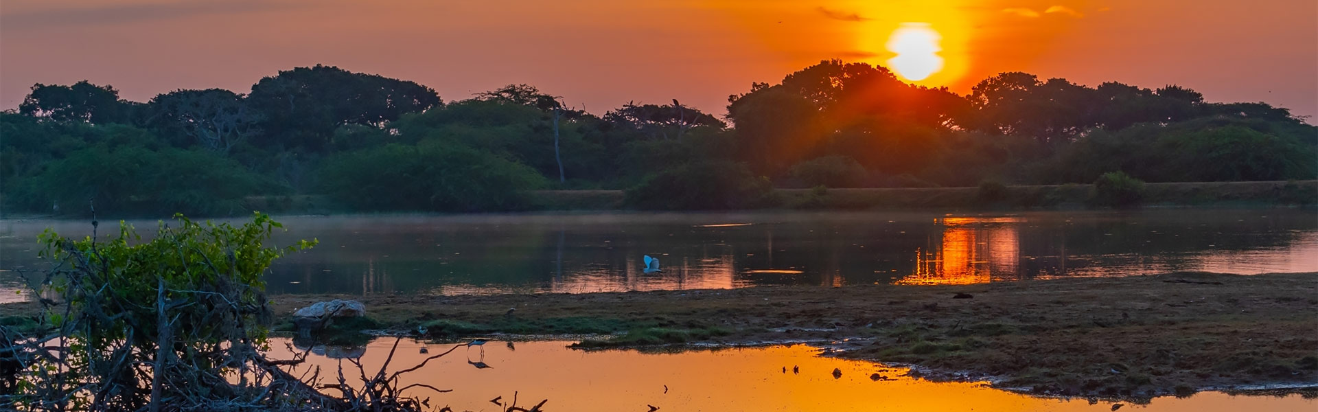 Bundala National Park