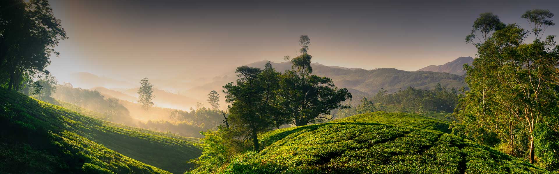 Places to Visit in Nuwara Eliya